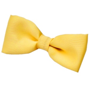 Boys Yellow Satin Dickie Bow Tie on Elastic | Boys Yellow Plain Bow Tie ...